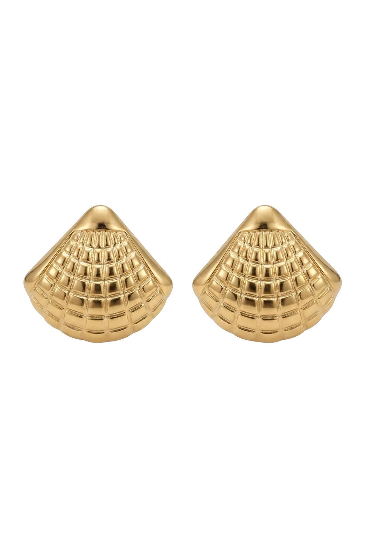 Crete Shell Earrings