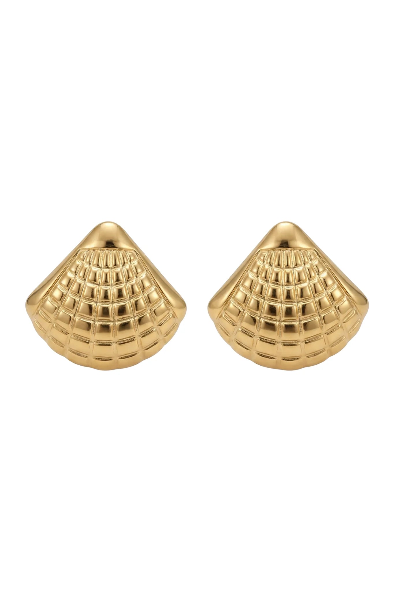 Crete Shell Earrings