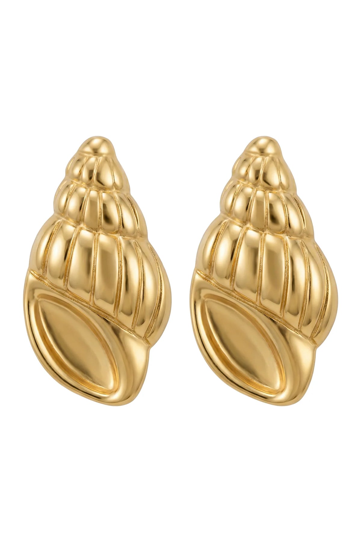 Crete Shell Earrings