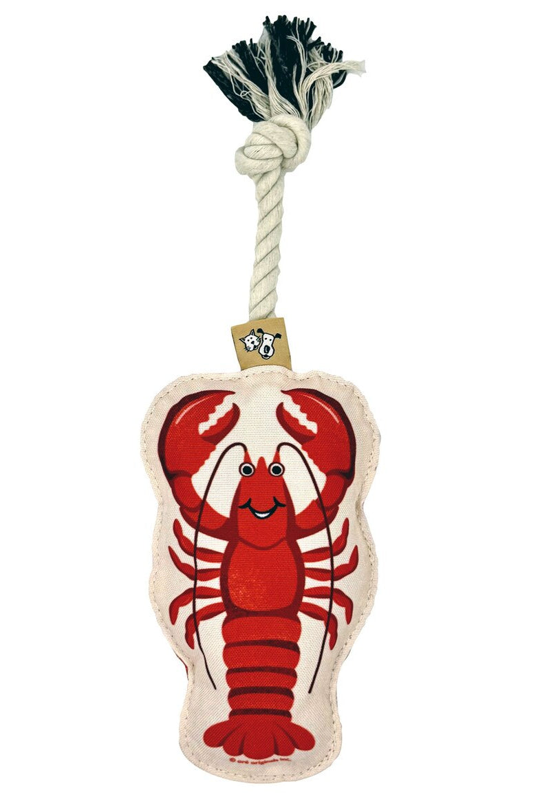 Pet Rope Toy