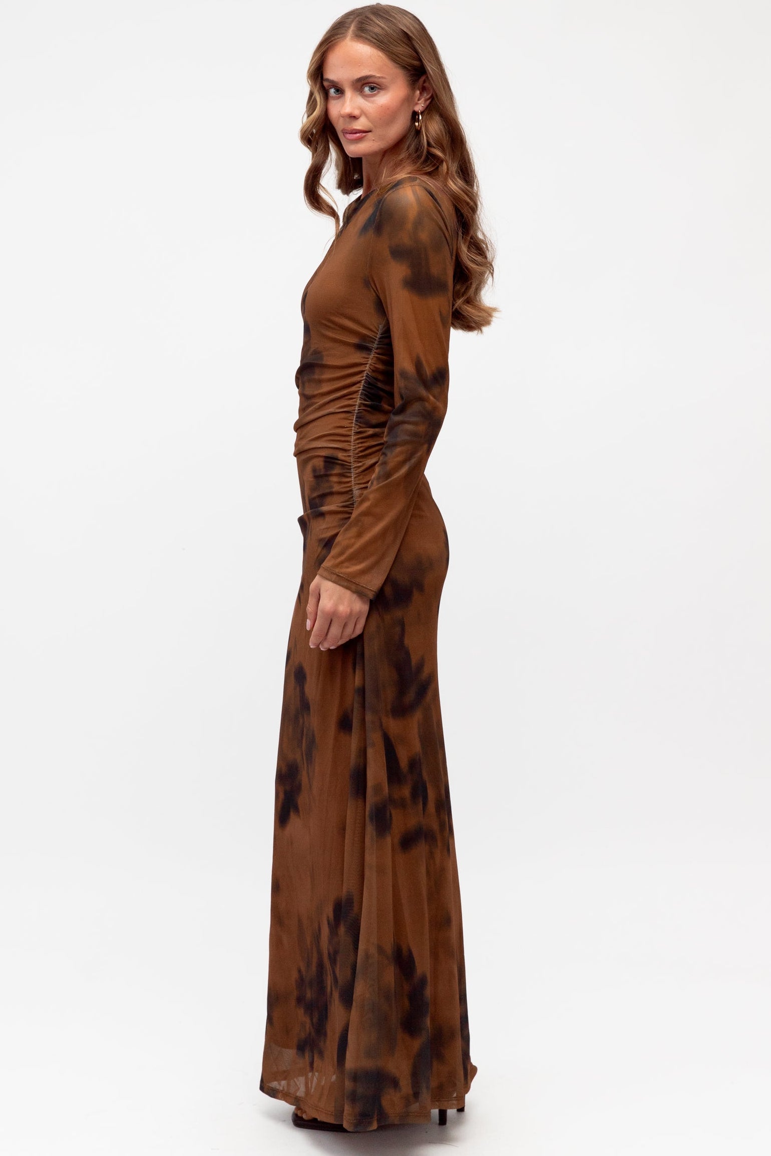 Sheer Blur Dress