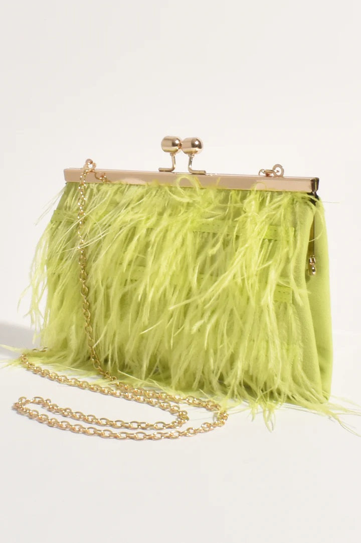 Feather Front Hard Clutch