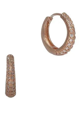 Cubic Bling Earrings