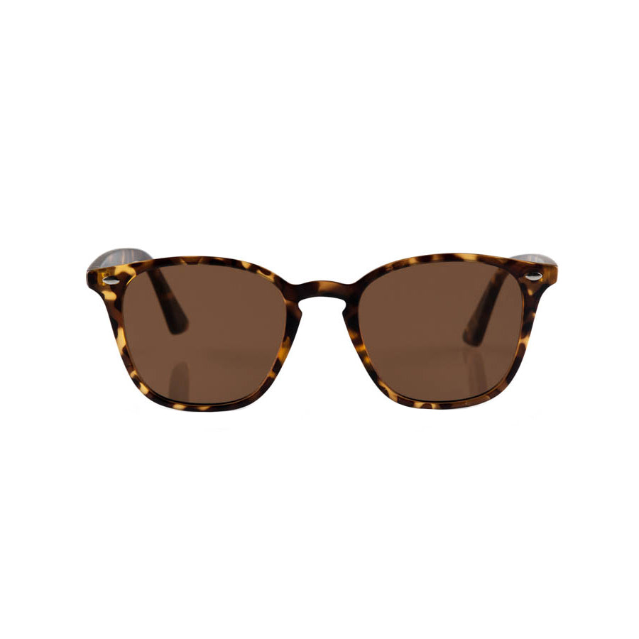 The Chelsea Sunglasses