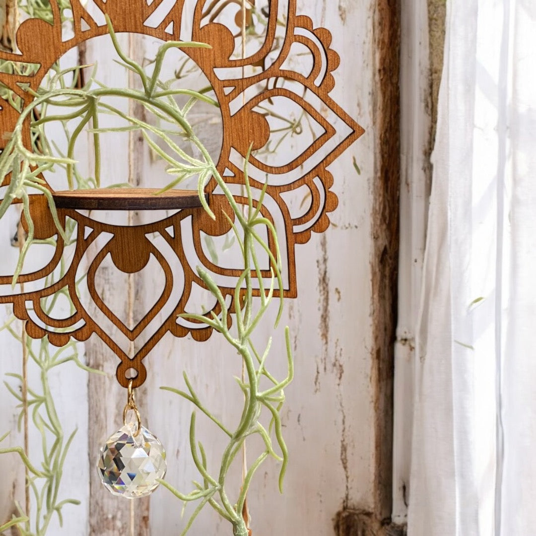 Suncatcher and Air Plant Hanger