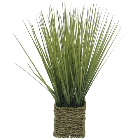Onion Grass in Basket 41cm